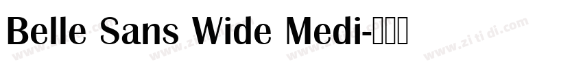 Belle Sans Wide Medi字体转换 Belle Sans Wide Medi字体转换